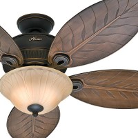 Hunter Fan 54" Outdoor Ceiling Fan with Toffee Glass Light Kit  5 Palm Leaf Blades Included (Certified Refurbished) - B071V89KGZ